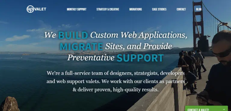 WordPress services